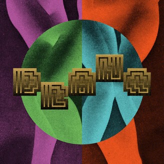 DRANQ – serpentine (12" Vinyl)