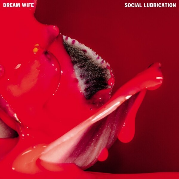 Cover DREAM WIFE, solid lubrication