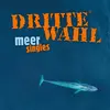 DRITTE WAHL – meer - singles (CD, LP Vinyl)