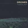 DRONES – havilah (LP Vinyl)