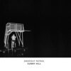 DROPOUT PATROL – sunny hill (CD, LP Vinyl)