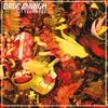 DRUG CHURCH – hit your head (LP Vinyl)