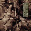 DUB SYNDICATE – stoned immaculate (LP Vinyl)