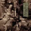 DUB SYNDICATE – stoned immaculate (LP Vinyl)