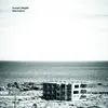 DUESENJAEGER – treibsand (jubiläums edition) (LP Vinyl)