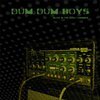DUM DUM BOYS – alive in the echo chamber (LP Vinyl)
