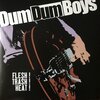 DUM DUM BOYS – flesh! trash! heat! (LP Vinyl)