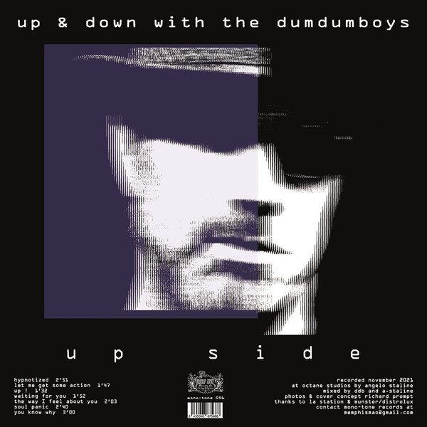 DUM DUM BOYS – up & down with... (LP Vinyl)