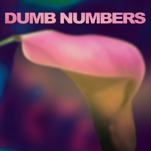 Cover DUMB NUMBERS, s/t