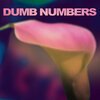 DUMB NUMBERS – s/t (CD, LP Vinyl)