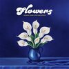 DURAND JONES & THE INDICATIONS – flowers (CD, LP Vinyl)