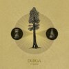DURGA – sequioa (LP Vinyl)