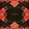 DUST MOTH – scale (LP Vinyl)