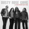 DUSTY ROSE GANG – a-one from day one (LP Vinyl)