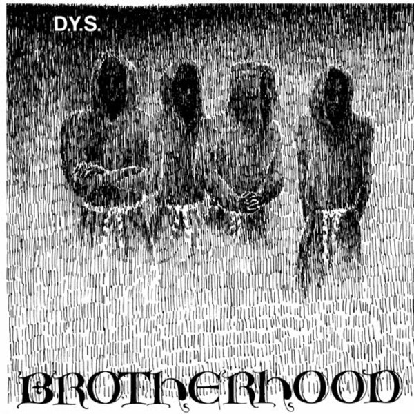 DYS – brotherhood (LP Vinyl)