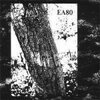 EA 80 – grüner apfel (10" Vinyl)