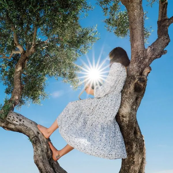 EAVES WILDER – little miss sunshine (CD, LP Vinyl)