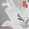 ECHO LADIES – lilies (CD, LP Vinyl)
