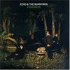 ECHO & THE BUNNYMEN – evergreen (25th anniversary) (CD, LP Vinyl)