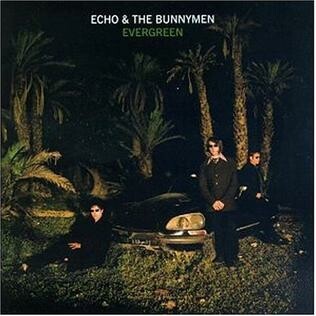 ECHO & THE BUNNYMEN – evergreen (25th anniversary) (CD)