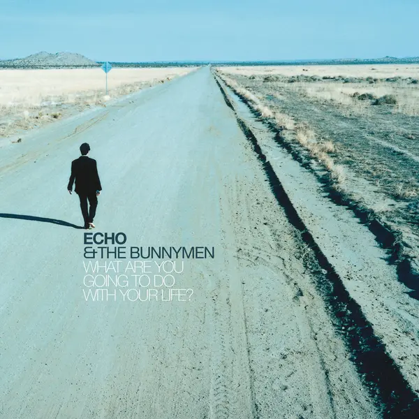 ECHO & THE BUNNYMEN – what are you going to do with your life? (CD, LP Vinyl)