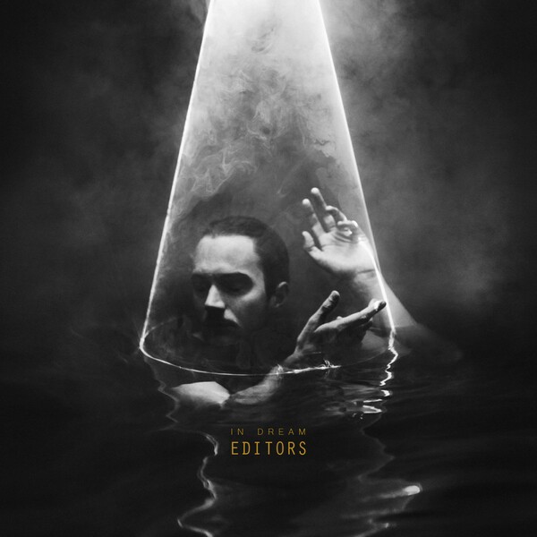 EDITORS – in dream (CD)