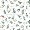EDWYN COLLINS – losing sleep (CD)