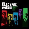 ELECTRIC MESS – falling off the face of the earth (LP Vinyl)