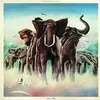 ELVIS COSTELLO – armed forces (LP Vinyl)