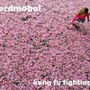 ERDMÖBEL – kung fu fighting (CD)