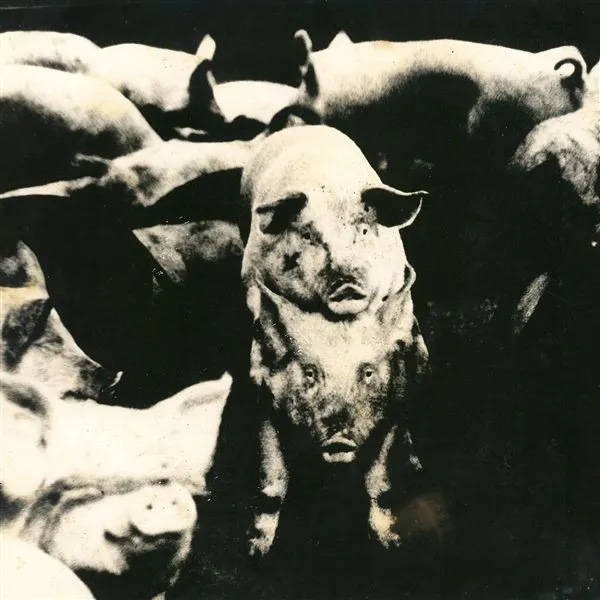 ESKORBUTO – mucha policia, poca diversion (7" Vinyl)