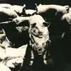 ESKORBUTO – mucha policia, poca diversion (7" Vinyl)