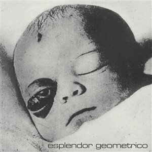 Cover ESPLENDOR GEOMETRICO, necrosis en la poya RSD20