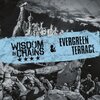 EVERGREEN TERRACE/WISDOM IN CHAINS – split (CD, LP Vinyl)