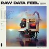 EVERYTHING EVERYTHING – raw data feel (CD, LP Vinyl)