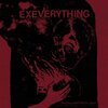 EX EVERYTHING – slow change will pull us apart (CD, LP Vinyl)