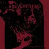 EX EVERYTHING – slow change will pull us apart (CD)