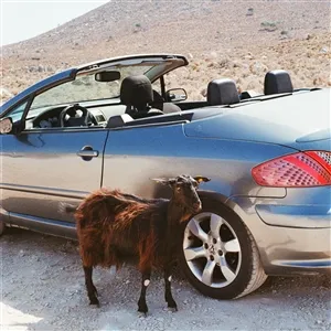 EXEK – prove the mountains move (LP Vinyl)