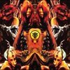 FARFLUNG – live at roadburn 2009 (LP Vinyl)