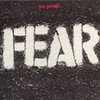 FEAR – the record (LP Vinyl)