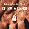 FEINE SAHNE FISCHFILET – sturm und dreck (LP Vinyl)