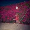 FEIST – pleasure (CD, LP Vinyl)
