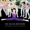 FELICE BROTHERS – celebration, florida (LP Vinyl)