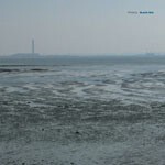 FENNESZ – black sea (10" Vinyl, CD)