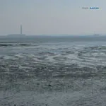 FENNESZ – black sea (10" Vinyl, CD)
