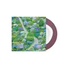 FIDDLEHEAD – between the richness (CD)