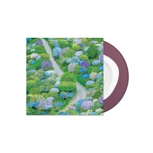 FIDDLEHEAD – between the richness (LP Vinyl)