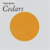 FIELD WORKS – cedars (CD, LP Vinyl)