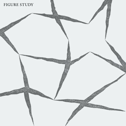 FIGURE STUDY – s/t (LP Vinyl)