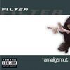 FILTER – the amalgamut (LP Vinyl)